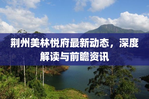 荆州美林悦府最新动态，深度解读与前瞻资讯