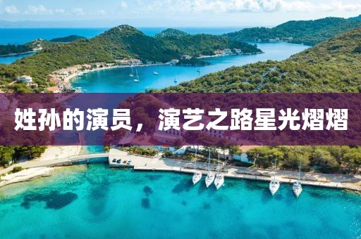 姓孙的演员，演艺之路星光熠熠