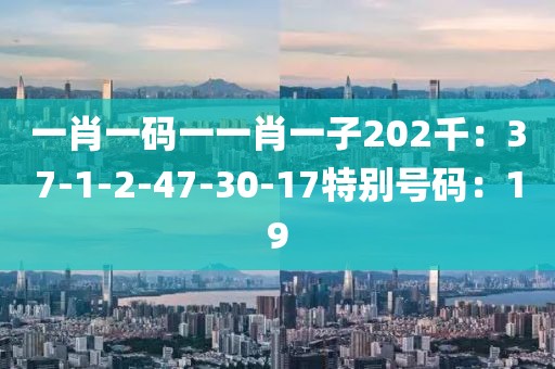 一肖一码一一肖一子202千：37-1-2-47-30-17特别号码：19