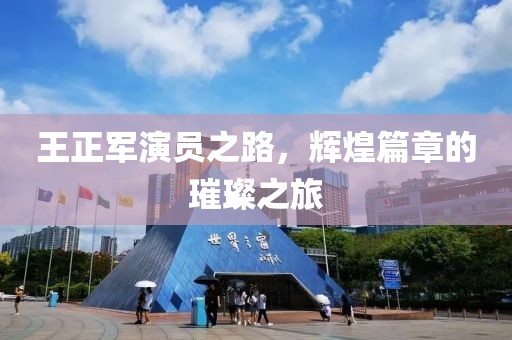 王正军演员之路，辉煌篇章的璀璨之旅