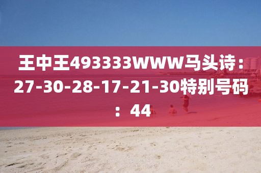 王中王493333WWW马头诗：27-30-28-17-21-30特别号码：44