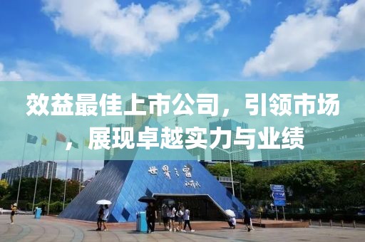 效益最佳上市公司，引领市场，展现卓越实力与业绩