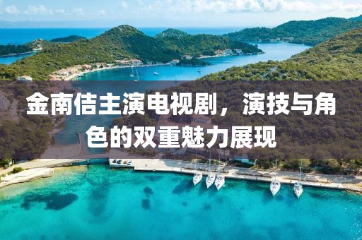 金南佶主演电视剧，演技与角色的双重魅力展现