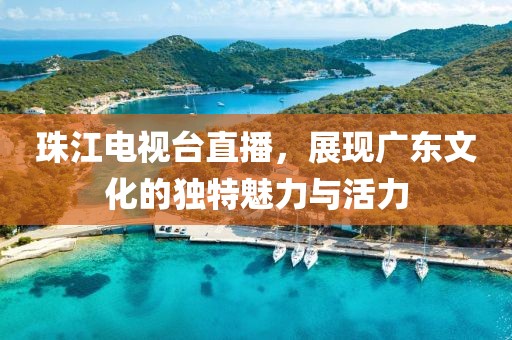 珠江电视台直播，展现广东文化的独特魅力与活力