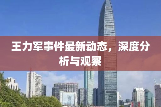 王力军事件最新动态，深度分析与观察