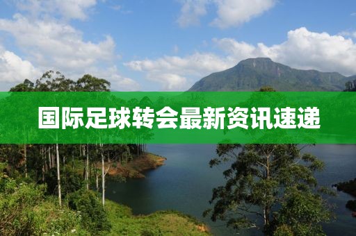 国际足球转会最新资讯速递