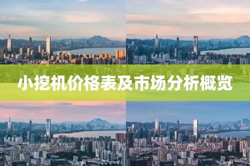 小挖机价格表及市场分析概览