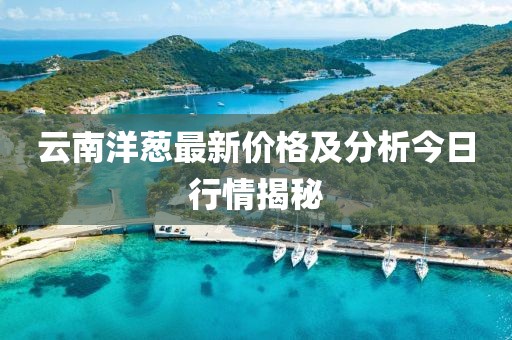 云南洋葱最新价格及分析今日行情揭秘