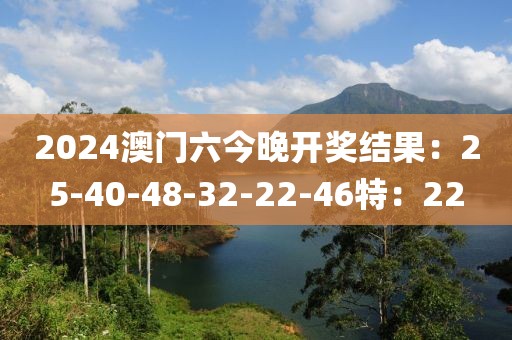 2024澳门六今晚开奖结果：25-40-48-32-22-46特：22