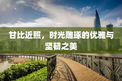甘比近照，时光雕琢的优雅与坚韧之美