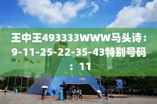 王中王493333WWW马头诗：9-11-25-22-35-43特别号码：11