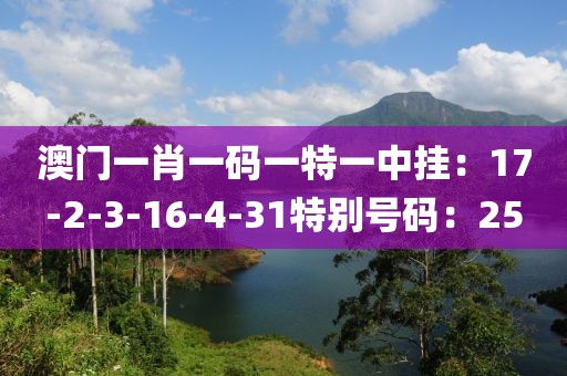 澳门一肖一码一特一中挂：17-2-3-16-4-31特别号码：25
