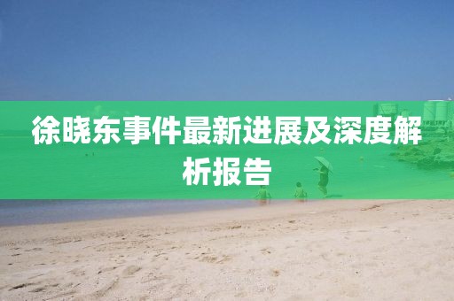 徐晓东事件最新进展及深度解析报告