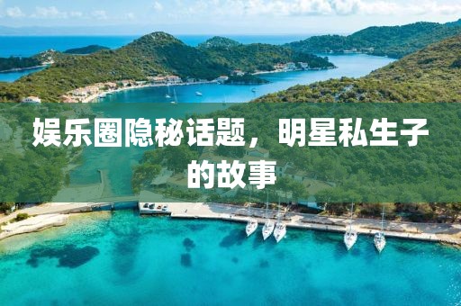 娱乐圈隐秘话题，明星私生子的故事