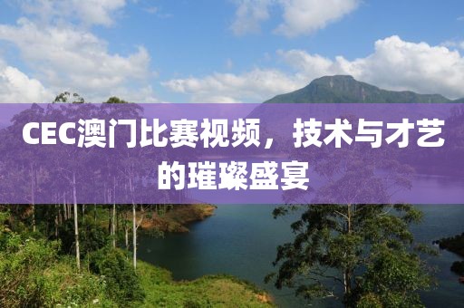 CEC澳门比赛视频，技术与才艺的璀璨盛宴