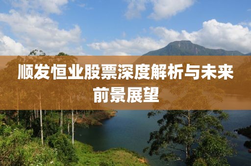 顺发恒业股票深度解析与未来前景展望