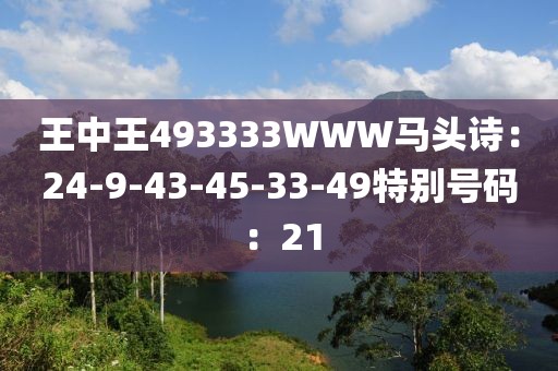 王中王493333WWW马头诗：24-9-43-45-33-49特别号码：21