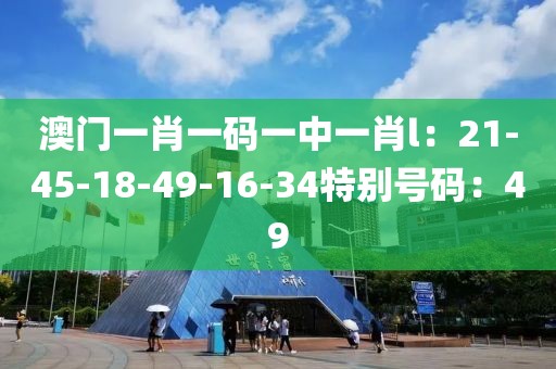 澳门一肖一码一中一肖l：21-45-18-49-16-34特别号码：49