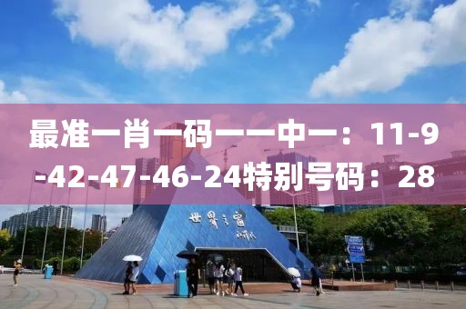 最准一肖一码一一中一：11-9-42-47-46-24特别号码：28