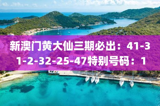 新澳门黄大仙三期必出：41-31-2-32-25-47特别号码：1