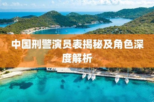 中国刑警演员表揭秘及角色深度解析