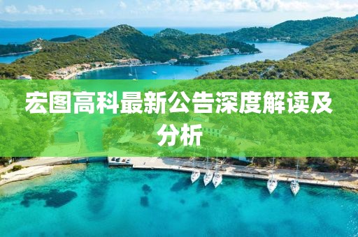 宏图高科最新公告深度解读及分析