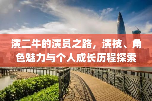 演二牛的演员之路，演技、角色魅力与个人成长历程探索