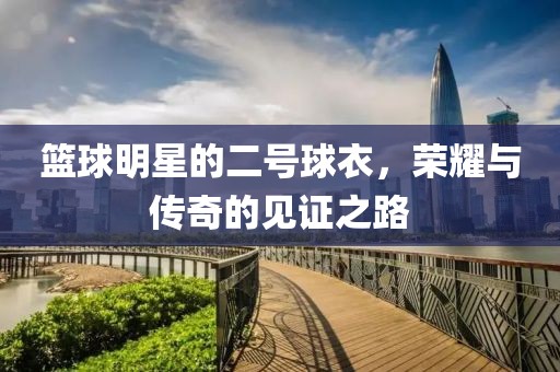 篮球明星的二号球衣，荣耀与传奇的见证之路