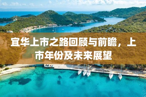 宜华上市之路回顾与前瞻，上市年份及未来展望