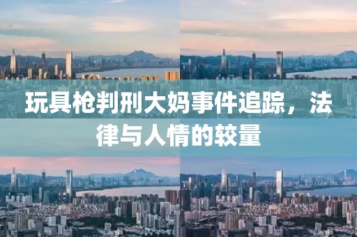 玩具枪判刑大妈事件追踪，法律与人情的较量