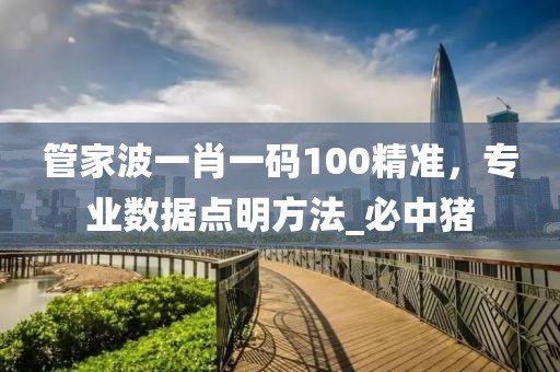 管家波一肖一码100精准，专业数据点明方法_必中猪