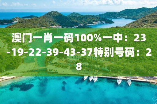 澳门一肖一码100%一中：23-19-22-39-43-37特别号码：28