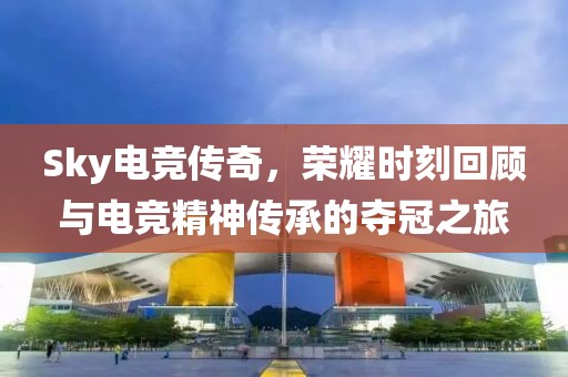 Sky电竞传奇，荣耀时刻回顾与电竞精神传承的夺冠之旅