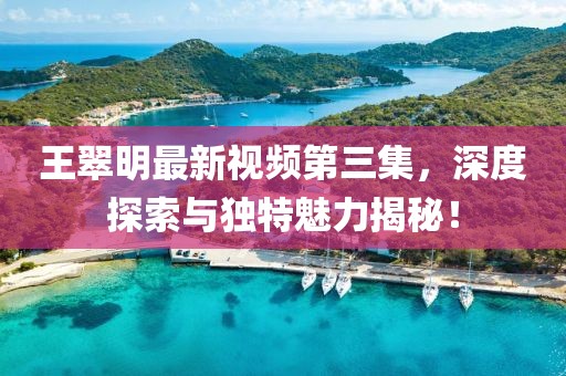 王翠明最新视频第三集，深度探索与独特魅力揭秘！