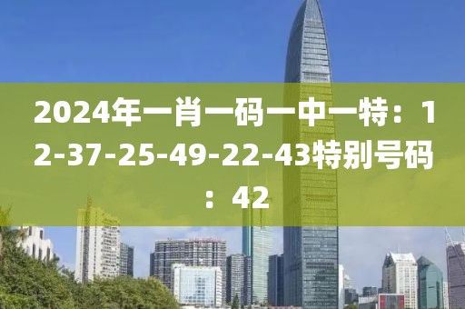2024年一肖一码一中一特：12-37-25-49-22-43特别号码：42