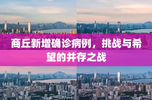 商丘新增确诊病例，挑战与希望的并存之战