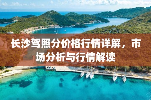长沙驾照分价格行情详解，市场分析与行情解读