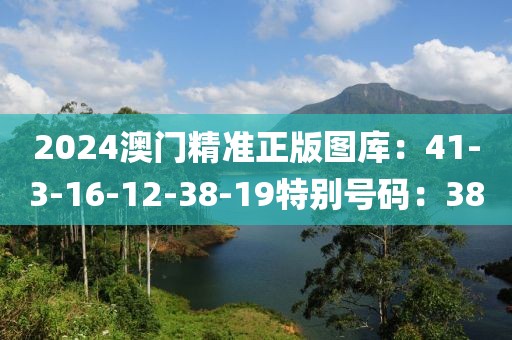 2024澳门精准正版图库：41-3-16-12-38-19特别号码：38