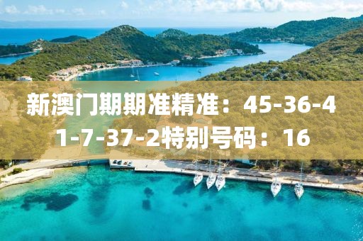 新澳门期期准精准：45-36-41-7-37-2特别号码：16