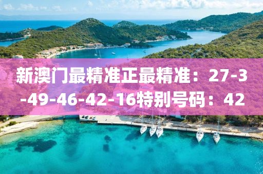 新澳门最精准正最精准：27-3-49-46-42-16特别号码：42