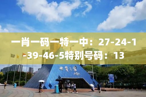 一肖一码一特一中：27-24-1-39-46-5特别号码：13