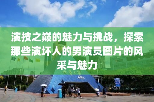 演技之巅的魅力与挑战，探索那些演坏人的男演员图片的风采与魅力