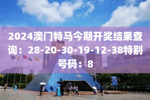 2024澳门特马今期开奖结果查询：28-20-30-19-12-38特别号码：8