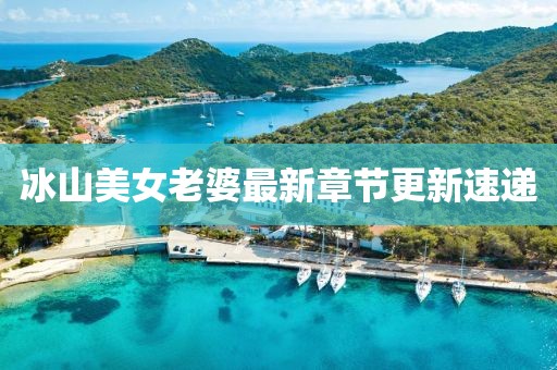 冰山美女老婆最新章节更新速递