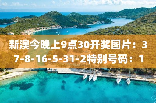 新澳今晚上9点30开奖图片：37-8-16-5-31-2特别号码：1