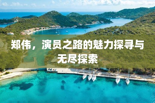 郑伟，演员之路的魅力探寻与无尽探索