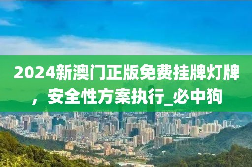 2024新澳门正版免费挂牌灯牌，安全性方案执行_必中狗