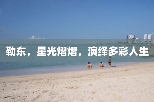 勒东，星光熠熠，演绎多彩人生