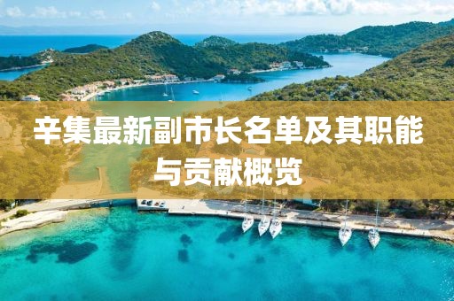 辛集最新副市长名单及其职能与贡献概览
