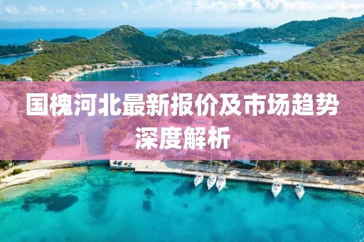 国槐河北最新报价及市场趋势深度解析